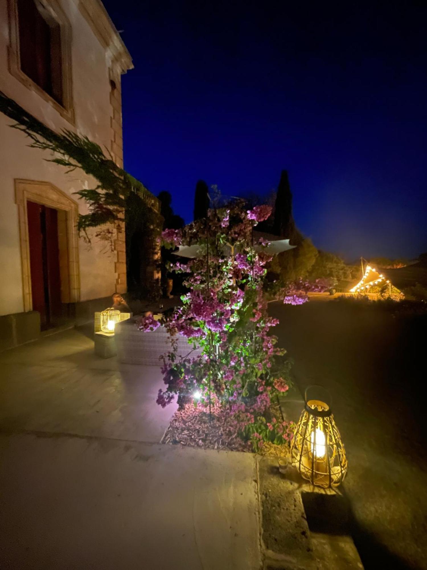 La Bellonette Marseillan  Ngoại thất bức ảnh