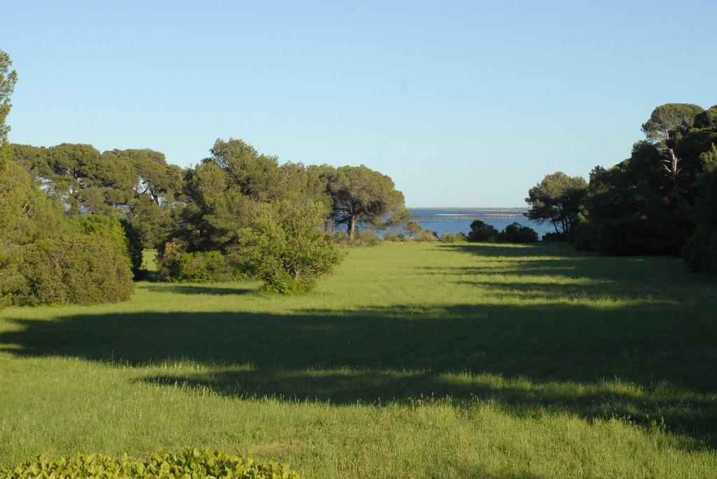 La Bellonette Marseillan  Ngoại thất bức ảnh